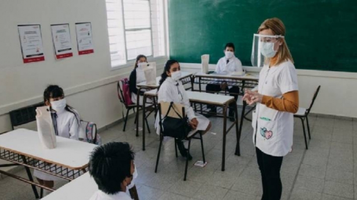 "Las escuelas no están preparadas para hacer clases por Zoom" Olga Isaza