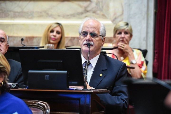 "Yo creo que en el conteo de votos en el Senado, la Ley de IVE avanzará favorablemente", Jorge Taiana