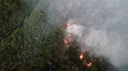 Cristian Larsen: "El 95% de los incendios se produce por el factor humano, ya sea intencional o no"