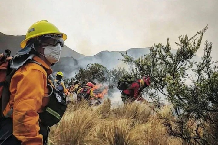 Carlos Tabares: "El monte es impenetrable, o sea, es muy difícil de llegar a los focos de incendio."