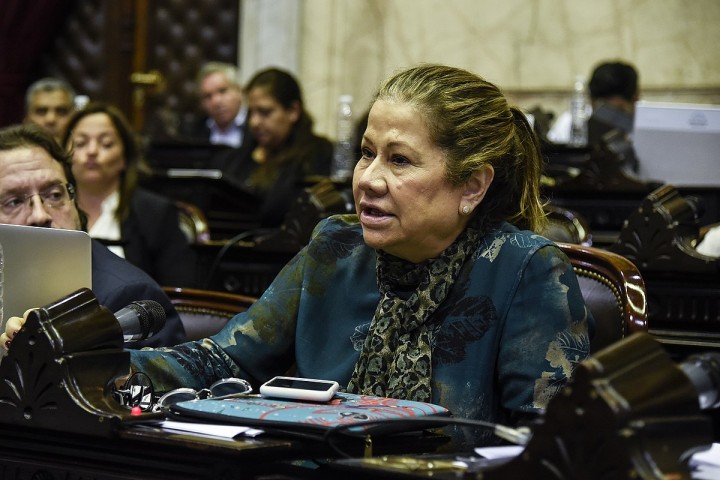 Graciela Camaño: "Argentina no tiene un problema económico, sino uno político"