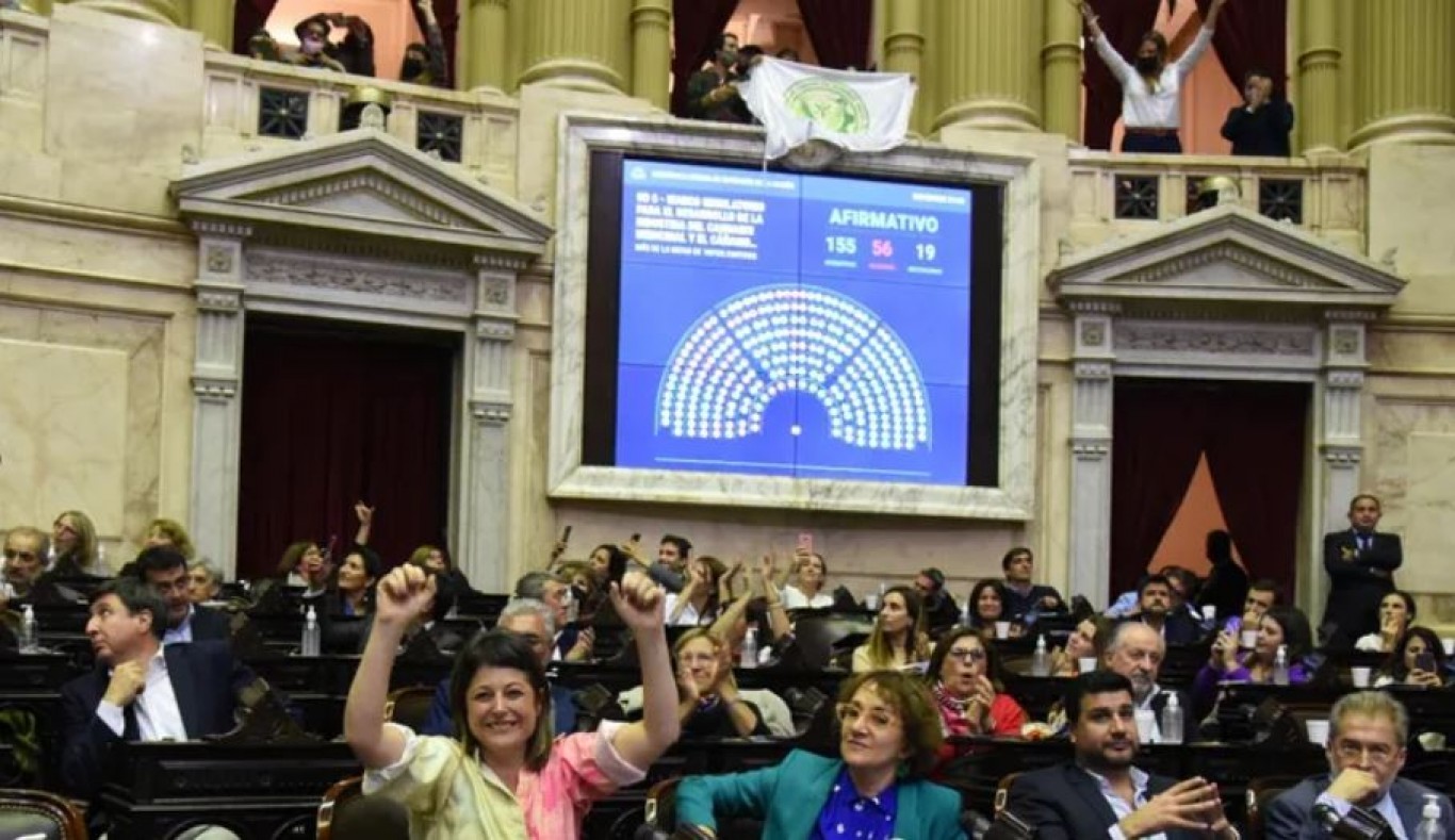 Informe: Diputados convirtió en ley el marco regulatorio para cannabis medicinal y cáñamo industrial y avanzaron proyectos de ley en el Congreso