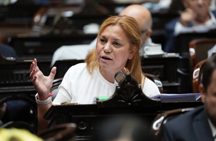 Karina Banfi: &quot;Lo que hizo el Gobierno con la restricción de acceso a la información es inconstitucional&quot;